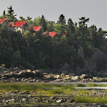 Camping & Chalets De La Demi-Lieue Hotell Saint-Jean-Port-Joli Exteriör bild